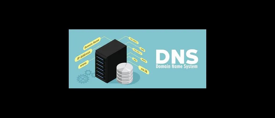 Why do we need the dns system?