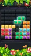 What is the block puzzle game called?