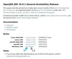 What version of java is jdk 19?