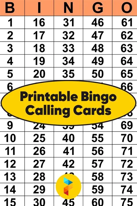 What is bingo called in usa?