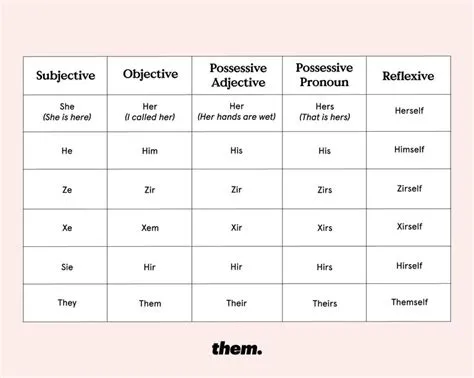 What is the pronoun xe xem?