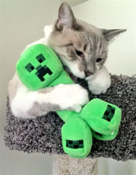 What are the 11 minecraft cats?