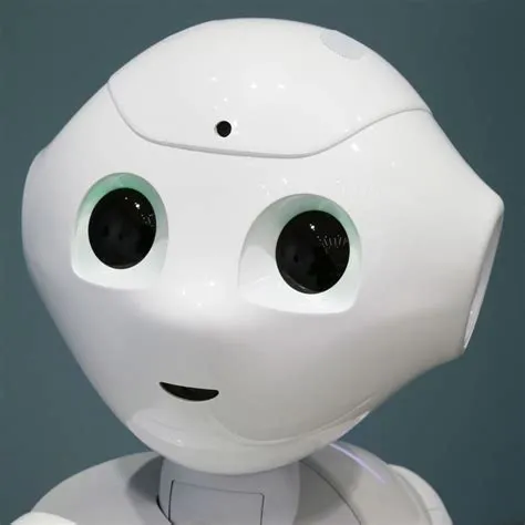 Will robots have feelings?