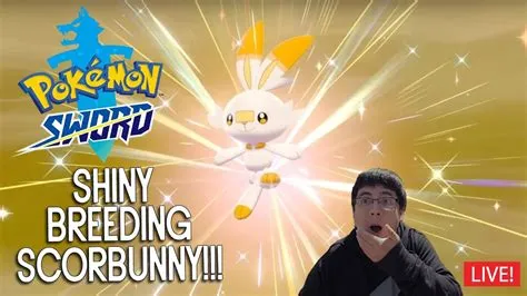 What can scorbunny breed with?