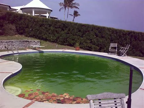 Why is the hotel pool water green?