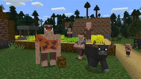 What age are minecraft gamers?