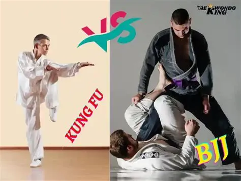 Can bjj beat kung fu?