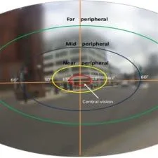 What is the field of view of human eyes?