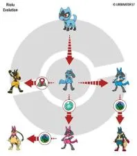 Can you evolve a level 100 riolu?