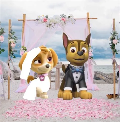 Who married chase paw patrol?