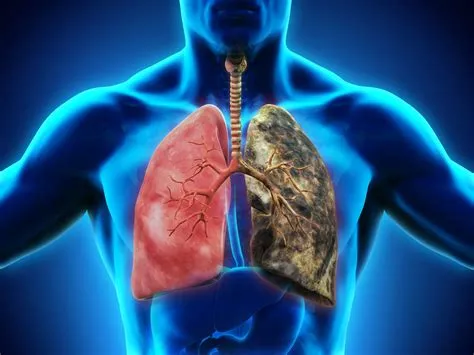 What can damage your lungs?