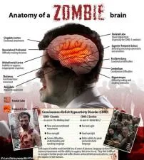 Are zombies alive or dead biology?