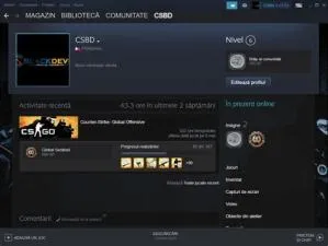 Is it ok to sell steam account?