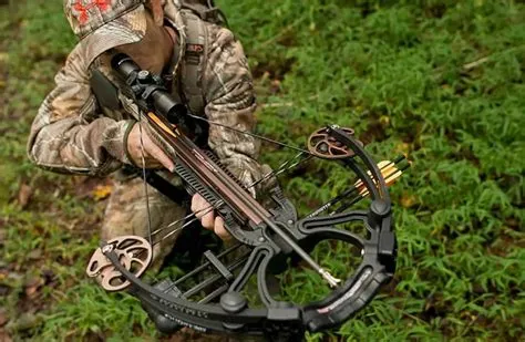 Why do people have crossbows?