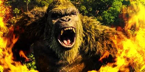 Why was kong so weak?