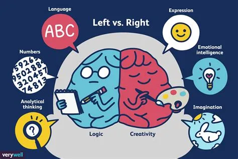 Which side of your brain is more dominant?