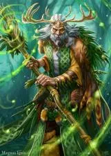 What is a druid god?