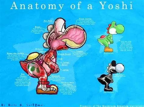 Whats inside yoshis egg?