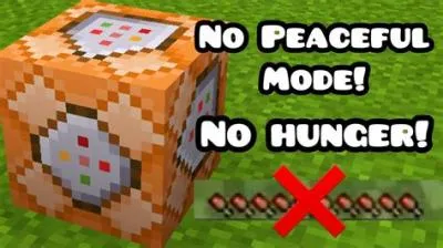 How do i stop my hunger loss in minecraft?