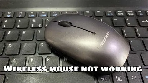 Why is my laptop mouse not working?