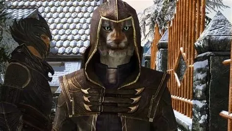 Are khajiit allowed in cities?