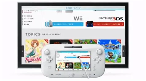 Did the wii have a browser?