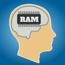 How gb of ram is a human brain?