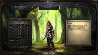 What is the best rogue class in pillars of eternity 2?