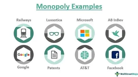 Why are monopolies common?