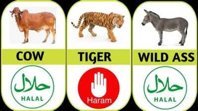 Why is animal blood haram in islam?