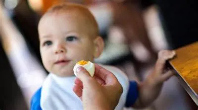 Can babies eat eggs?