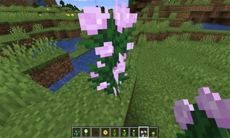 What is the 2 rarest flower in minecraft?