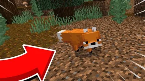 Where do foxes spawn in minecraft?