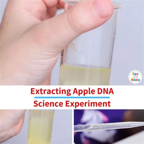 Is there dna in apple?