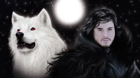 Why does jon snow have a wolf?