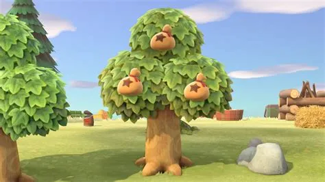 What is the highest money tree animal crossing?