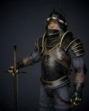 Why does nilfgaard armor look like that?