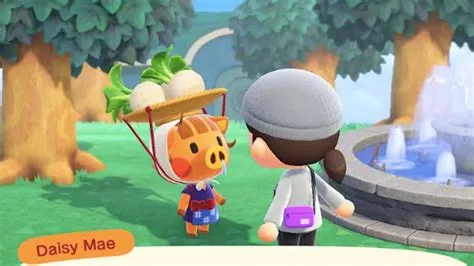 Where can i sell in animal crossing?