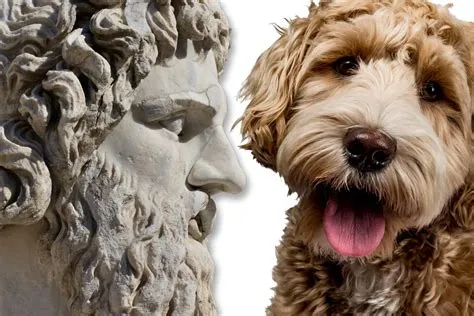 Which greek god had a dog?